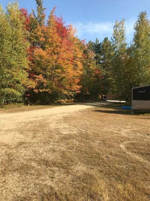200 Averill Hill Rd, Dixfield, ME 04224 - view of yard with a forest view