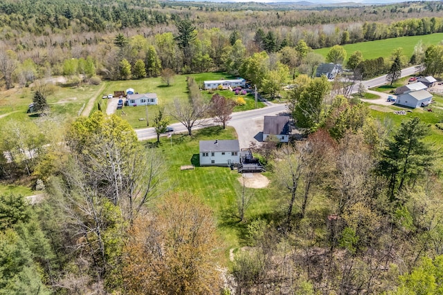 269 Hebron Rd, Buckfield, ME 04220 - drone / aerial view of a forest