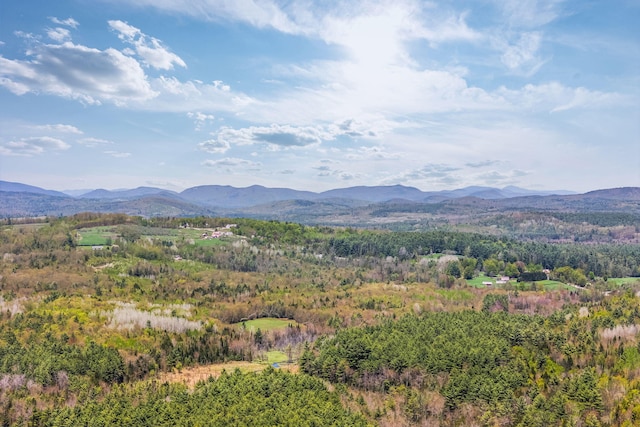 269 Hebron Rd, Buckfield, ME 04220 - mountain view with a heavily wooded area