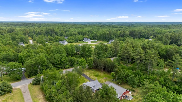 60 Line Rd, Buxton, ME 04093 - aerial view of a forest
