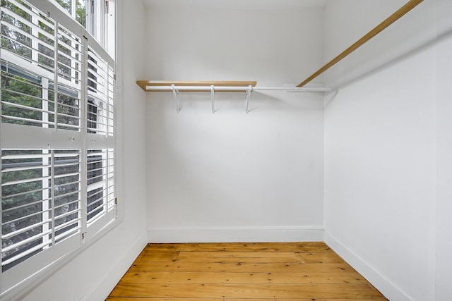 15 Obrion St Unit A, Portland, ME 04101 - walk in closet with light wood-type flooring