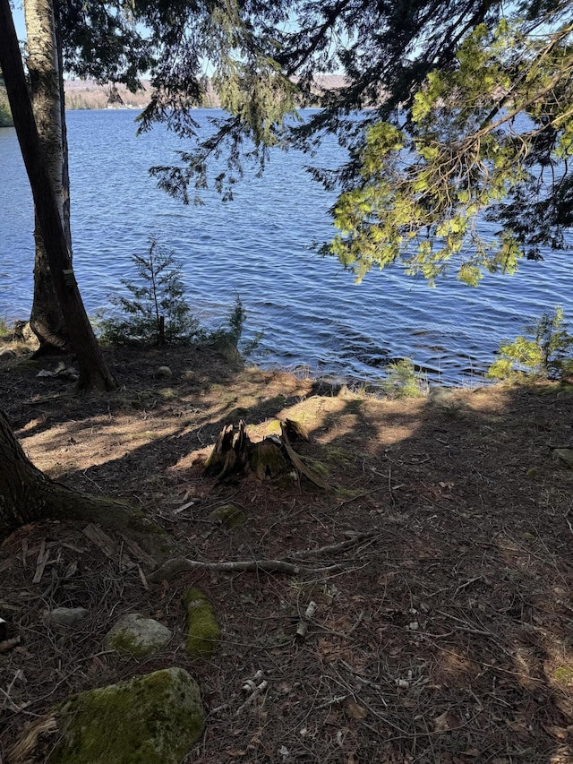 77 Orchard Dr, Saint Albans, ME 04971 - water view