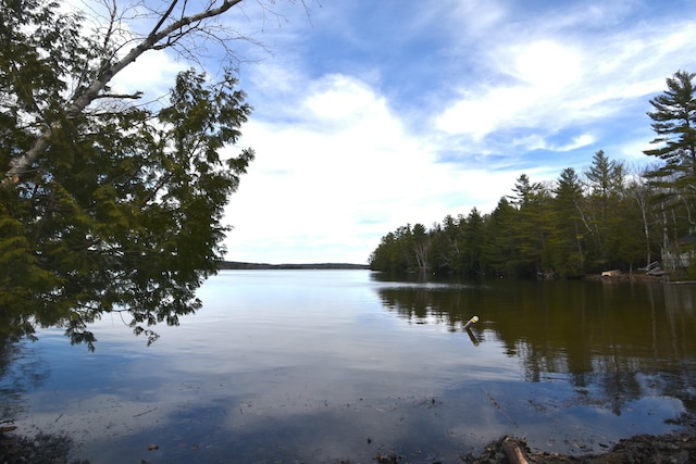 78 Martin Rd, Saint Albans, ME 04971 - property view of water with a view of trees