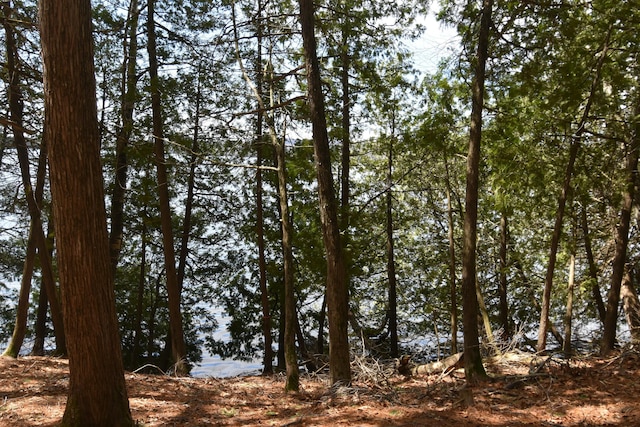 78 Martin Rd, Saint Albans, ME 04971 - view of local wilderness