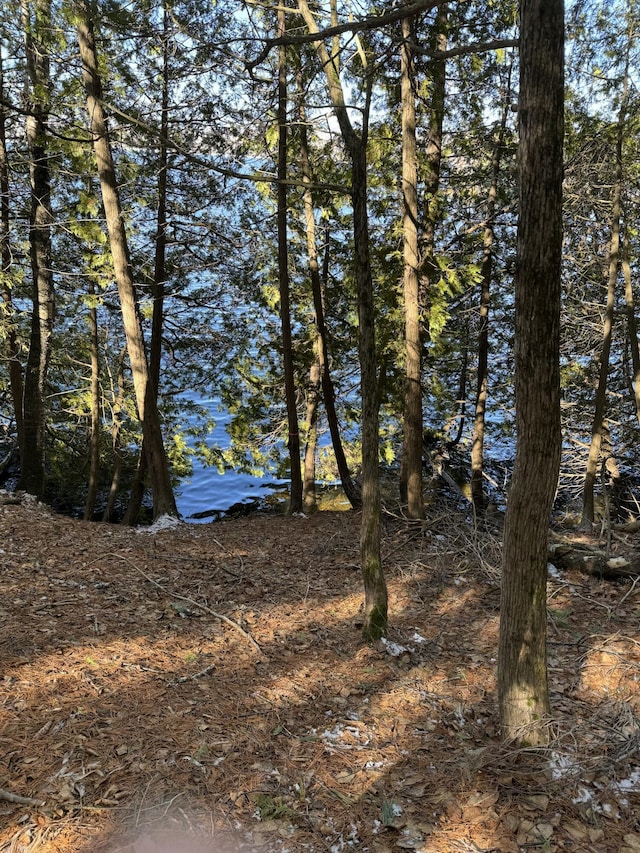 78 Martin Rd, Saint Albans, ME 04971 - view of water feature