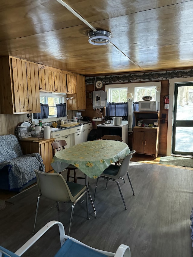 78 Martin Rd, Saint Albans, ME 04971 - kitchen featuring wood walls, wood finished floors, a wealth of natural light, and white microwave