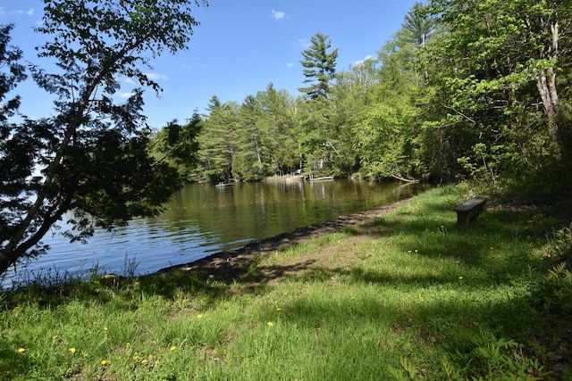 78 Martin Rd, Saint Albans, ME 04971 - water view featuring a forest