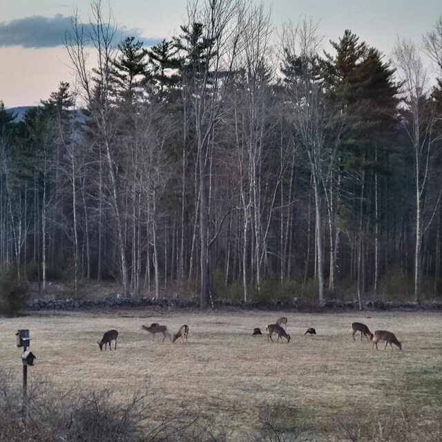 199 Lovell Rd, Sweden, ME 04040 - photo 52