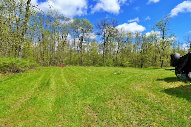 845 Hudson Rd, Glenburn, ME 04401 - view of green lawn