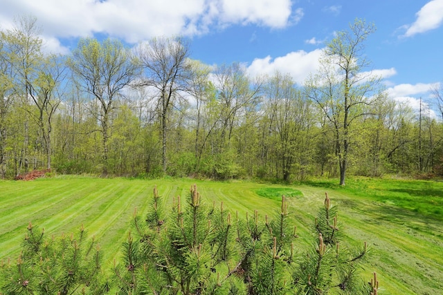 845 Hudson Rd, Glenburn, ME 04401 - view of grassy yard