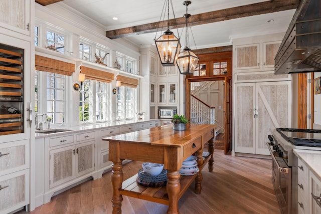 56 Deans Way, Cumberland, ME 04110 - kitchen featuring a sink, stainless steel appliances, a chandelier, custom exhaust hood, and hardwood / wood-style flooring