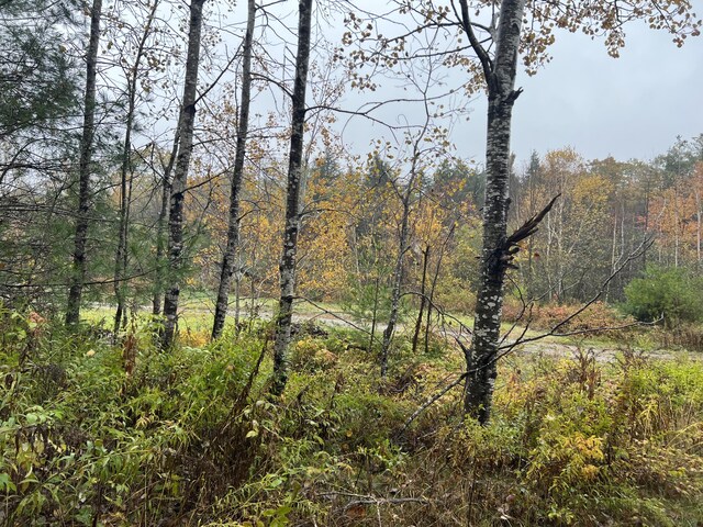 LOT2 Norway Rd, Waterford, ME 04088 - photo 9
