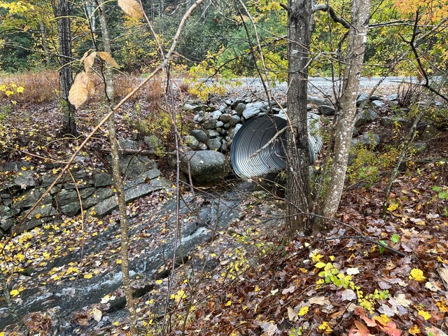 LOT2 Norway Rd, Waterford, ME 04088 - photo 10