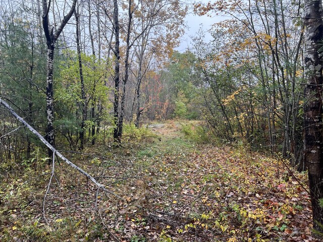 LOT2 Norway Rd, Waterford, ME 04088 - photo 21