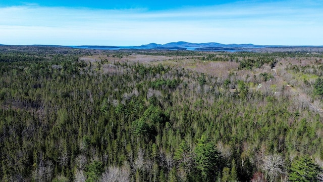 7 N Star Ln, Sullivan, ME 04664 - view of mountain background with a heavily wooded area