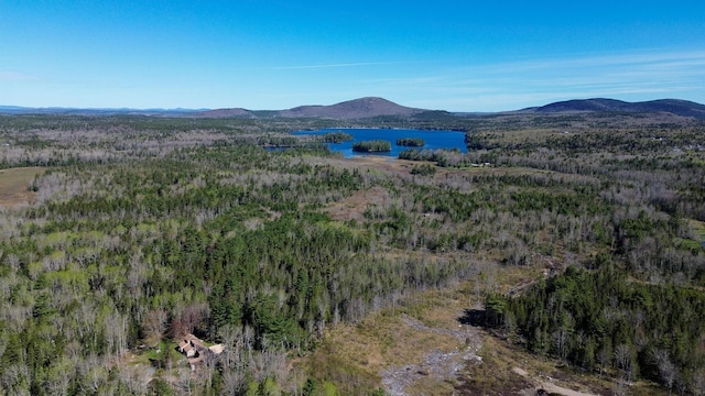 7 N Star Ln, Sullivan, ME 04664 - mountain view with a forest and a large body of water