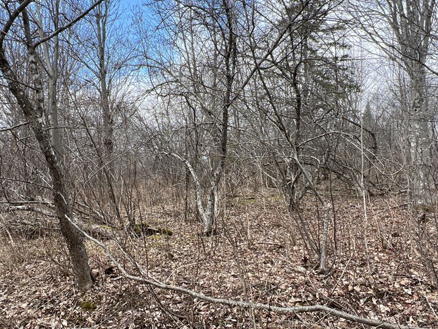 011-010.2 Monument Rd, Amity, ME 04471 - photo 10