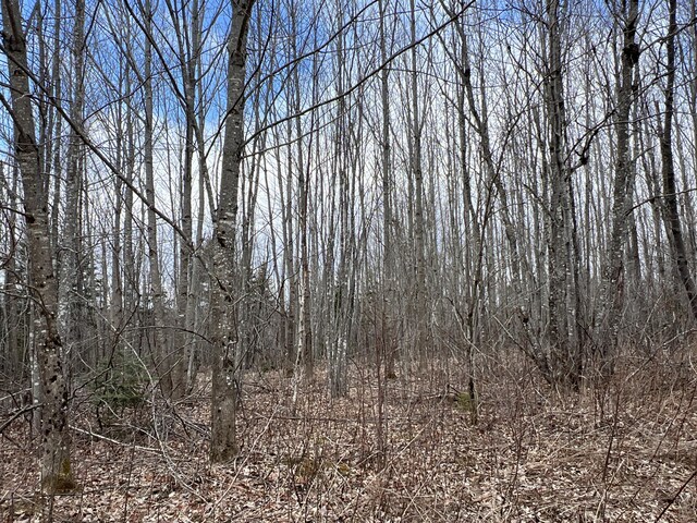 011-010.2 Monument Rd, Amity, ME 04471 - photo 11