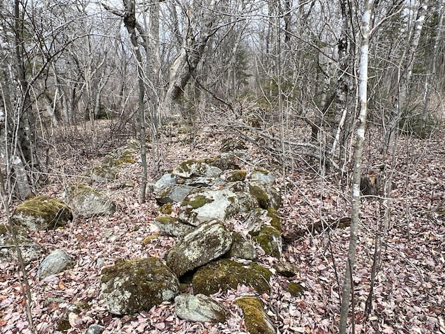 011-010.2 Monument Rd, Amity, ME 04471 - photo 14