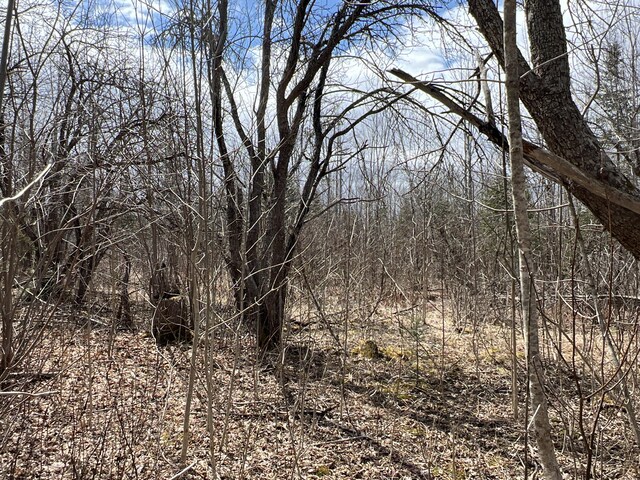 011-010.2 Monument Rd, Amity, ME 04471 - photo 15