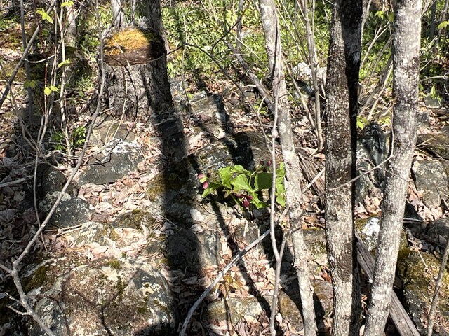 011-010.2 Monument Rd, Amity, ME 04471 - photo 17