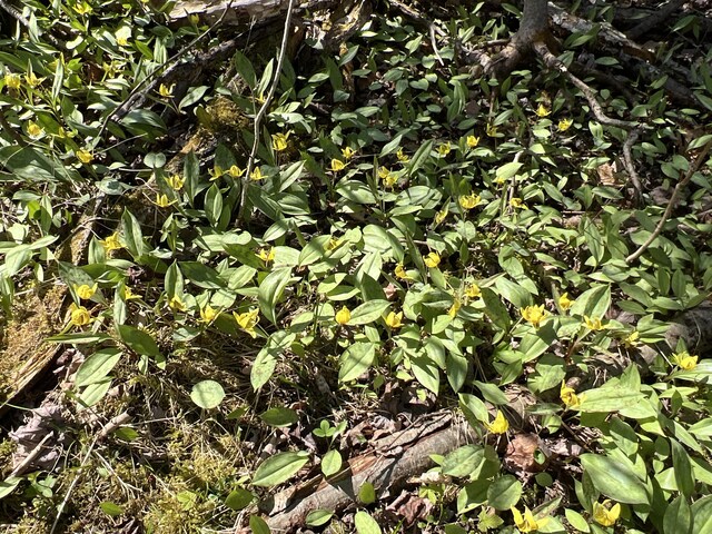 011-010.2 Monument Rd, Amity, ME 04471 - photo 18