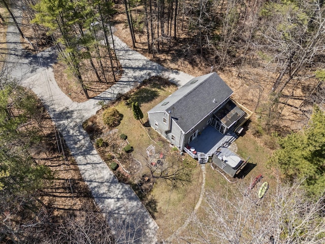 drone / aerial view
