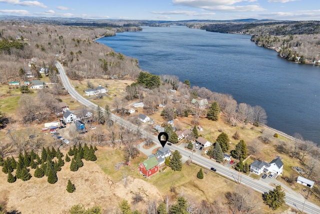 bird's eye view with a forest view and a water view