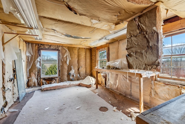 misc room with a wealth of natural light