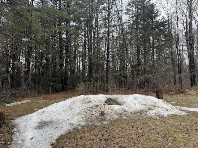 448 N Rd, Medford, ME 04463 - view of landscape featuring a forest view
