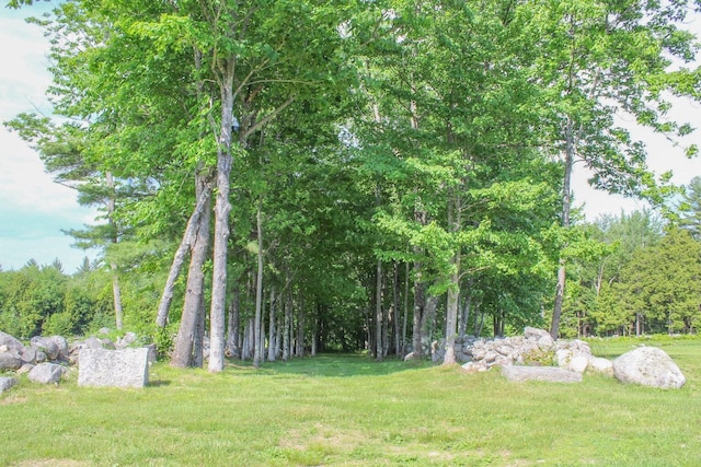 view of yard with a wooded view