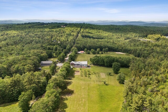 353 Bell Hill Rd, Otisfield, ME 04270 - photo 48