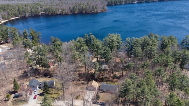 bird's eye view featuring a water view and a wooded view