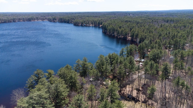 aerial view with a view of trees and a water view