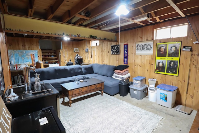 living area with concrete flooring and wood walls