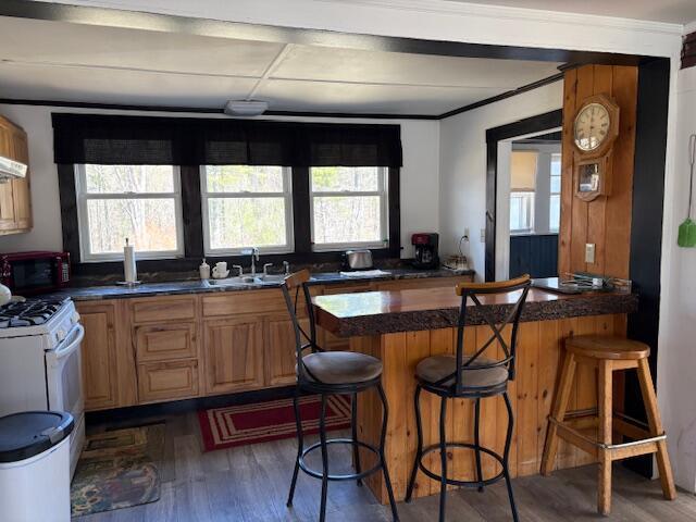 49 Pequawket Trl, Baldwin, ME 04024 - kitchen featuring plenty of natural light, a peninsula, white range with gas stovetop, and a sink