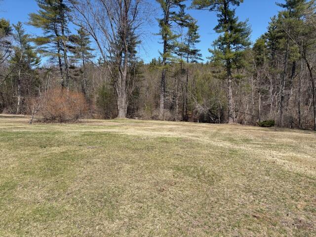 49 Pequawket Trl, Baldwin, ME 04024 - view of yard featuring a view of trees