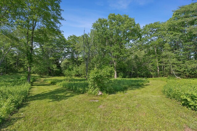 99 Quarry Rd, Scarborough, ME 04074 - photo 82
