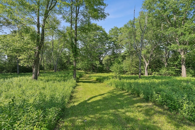 99 Quarry Rd, Scarborough, ME 04074 - photo 83