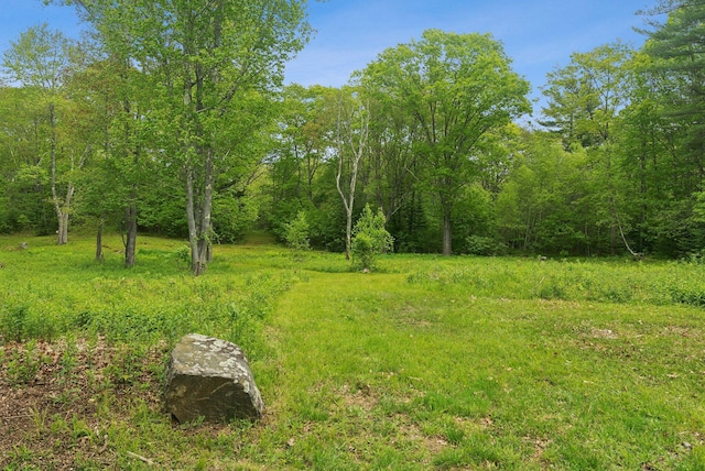 99 Quarry Rd, Scarborough, ME 04074 - photo 87