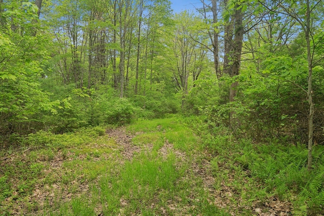 99 Quarry Rd, Scarborough, ME 04074 - photo 88