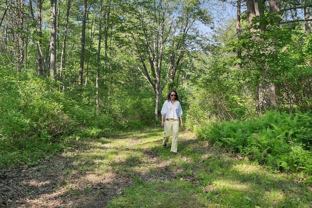 99 Quarry Rd, Scarborough, ME 04074 - photo 92