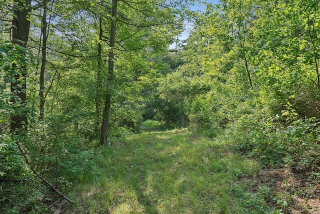 99 Quarry Rd, Scarborough, ME 04074 - photo 93