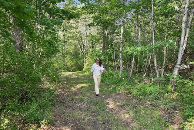 99 Quarry Rd, Scarborough, ME 04074 - photo 94