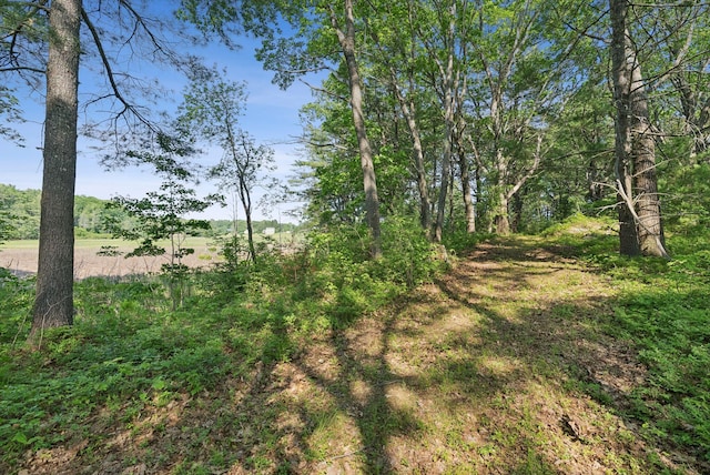 99 Quarry Rd, Scarborough, ME 04074 - photo 101