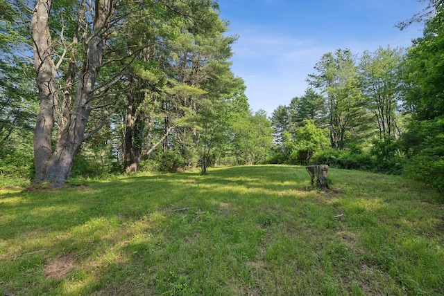 99 Quarry Rd, Scarborough, ME 04074 - photo 102