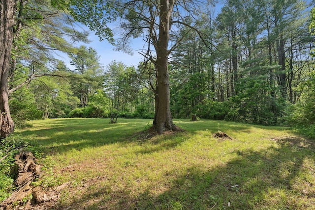 99 Quarry Rd, Scarborough, ME 04074 - photo 103