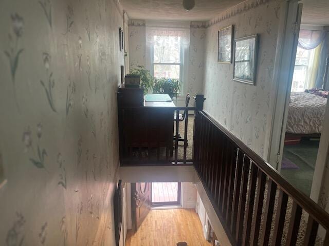 corridor featuring wallpapered walls and wood finished floors