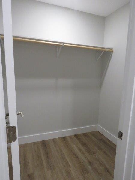 walk in closet with wood finished floors