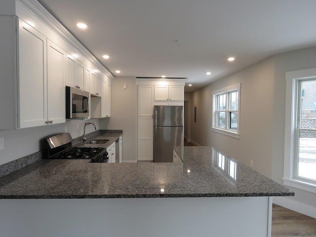 kitchen with dark stone counters, a healthy amount of sunlight, a sink, and stainless steel appliances